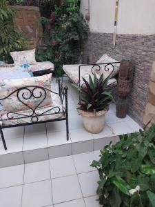 a pair of benches on a patio with plants at Chez Ousmane Fall ASECNA in Saint-Louis