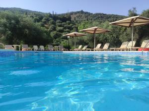 a large blue swimming pool with chairs and umbrellas at Donatos Apartments & Studios in Parga +19 photos