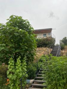 a staircase leading up to a house with a tree at Абия in Cholpon-Ata