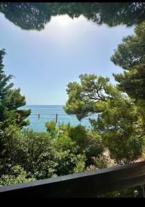 Fotografie z fotogalerie ubytování Apartment Botanicheskiy Sad v destinaci Sutomore