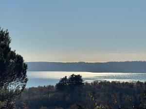 Příroda nedaleko vily