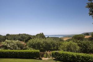 Příroda nedaleko vily