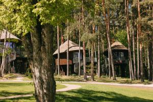 a couple of gazebos in a park with trees at LVM dabas parka glempings in Tērvete
