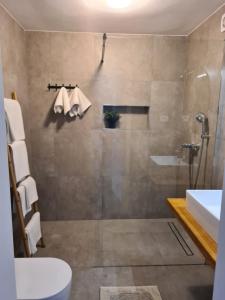 a bathroom with a shower and a toilet and a sink at ZARA APARTMENT in Banjole +65 photos