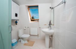a white bathroom with a toilet and a sink at Mіnі Gotel Pozitiv in Horodets'ke +56 photos