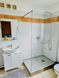 a bathroom with a glass shower and a sink at Appartement Coco Antilles ,vue mer, terrasse couverte 25m2,plage à pied in Sainte-Luce +14 photos