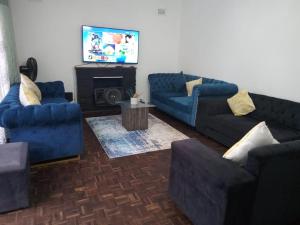 a living room with two blue couches and a television at 54 Malcolm Hidden Gem near Musgrave in Durban