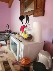 a microwave with a bowl of fruit on top of it at The jasmine house in Castel San Pietro Terme