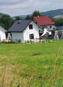Príroda v okolí dovolenkového domu