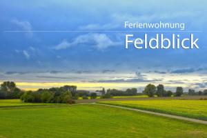 pole zielonej trawy ze słowami wypełnionymi piórem w obiekcie Ferienwohnung Ruraue w mieście Millich