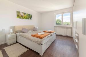 Gallery image of Apartments surrounded by forest with the sea view in Koper