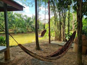 a hammock tied to trees next to a river at HatYai -Les Cat Cocoa Farmstay in Ban Tha Mo Chai