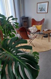 a living room with chairs and a plant at Piso a pie de playa con terraza exclusiva in Moaña