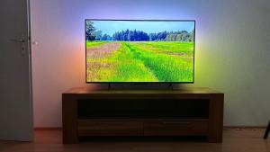 TV a/nebo společenská místnost v ubytování FeWo Sonnenschein