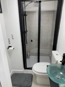 ein Badezimmer mit Dusche, Toilette und Waschbecken in der Unterkunft Fowey, Cute Cottage in Fowey + 18 Fotos