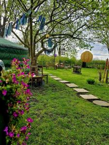 Zahrada ubytování Het binnenerf yurt en keetjes + 9 fotografií
