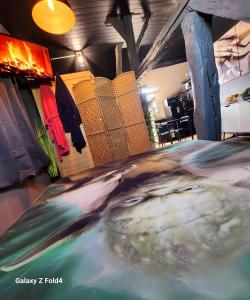 Φωτογραφία από το άλμπουμ του StarWars SAUNA Jacuzzi balneo à 10 minutes de Disneyland σε Condé-Sainte-Libiaire