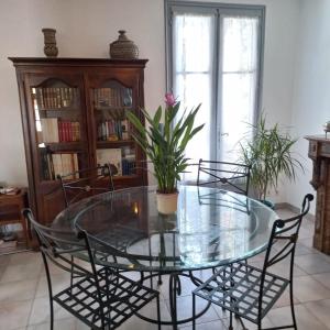 a glass table with chairs and a potted plant at Maison avec superbe terrasse tropézienne in Adissan