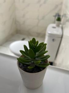 Foto dalla galleria di Appartement MIRAMAR a Martil
