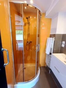 a shower with a glass door in a bathroom at Willa na Bani - apartamenty i pokoje in Rabka