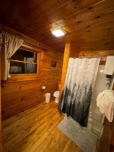 a bathroom with a shower in a wooden cabin at Smoky Paws - Exceptional Cabin, Stunning Mountain Views, Hot Tub, Tranquil, Gigabit Internet, Free L2 EV in Pigeon Forge