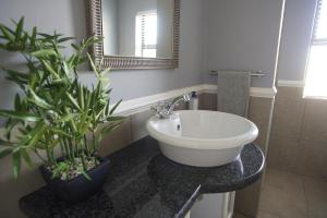 a bathroom with a sink and potted plants on a counter at Villa Mohau 178 in Clarens +30 photos