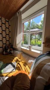 En eller flere senge i et værelse på Dein fabelhaftes Ferienhaus Ostfriesland