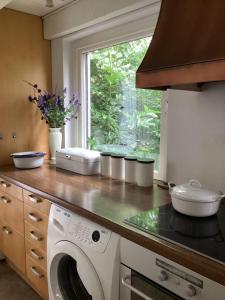 eine Küche mit Waschmaschine und Fenster in der Unterkunft HeijenLUXE VAKANTIEWONING in Heijen