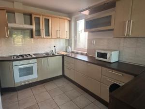 Kuchyň nebo kuchyňský kout v ubytování Apartman Rose