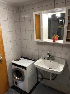 a bathroom with a washing machine and a sink at Unterkunft LUSCHIN in Spielberg +5 photos