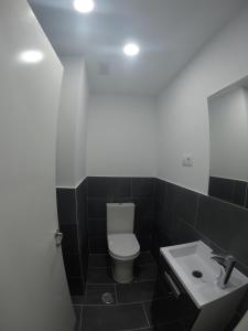 a bathroom with a white toilet and a sink at Apartamento Cancela, super luminoso y bien situado in A Coruña +23 photos