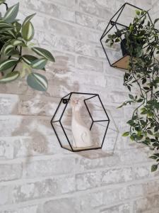 Fotografie z fotogalerie ubytování Casa Balint v destinaci Sovata