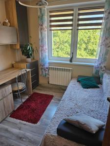 a room with a bed and a desk and two windows at Apartament Baszta Kaszana in Trzebiatów