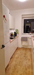 Kuchyň nebo kuchyňský kout v ubytování HomeStay with Bo