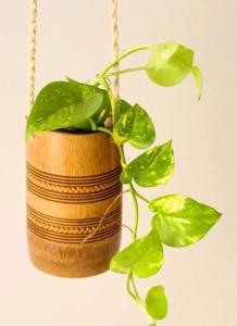 Gallery image of Eco Homestay in Mon