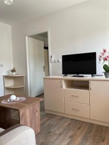 TV a/nebo společenská místnost v ubytování Apartmani Vrla NEW