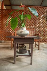 Afbeelding uit fotogalerij van Magico Bosque - Bungalow in Moyobamba