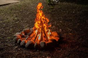 Afbeelding uit fotogalerij van Magico Bosque - Bungalow in Moyobamba