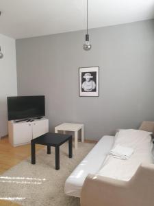 TV a/nebo společenská místnost v ubytování Novi Apartman 19