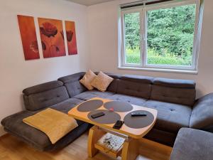 a living room with a couch and a table at Apartment Kapfenberg in Kapfenberg