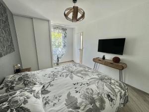 una camera da letto con un letto e una televisione di Appartement terrasse et jardin a Saint-Julien-les-Villas