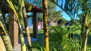 a group of palm trees in front of a building at Pousada Canto Verde in Barreirinhas