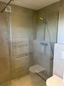 Un baño con ducha de cristal con inodoro. en Simply Deux, en Stavelot