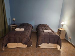 een slaapkamer met twee bedden in een kamer bij La Loma Duplex in Salta