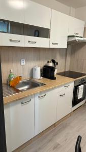 Dapur atau dapur kecil di Apartmány na Trojce