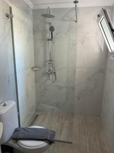 a bathroom with a shower with a toilet and a glass door at Pansion Olga in Parga