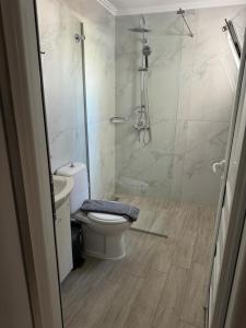 a bathroom with a toilet and a shower at Pansion Olga in Parga