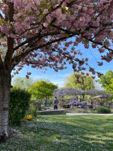 a man walking in a park with a tree with pink flowers at cozy two bed room flat near Champs-Élysée in Rueil-Malmaison