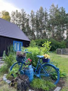 Ein blaues Fahrrad, das in einem Hof mit Topfpflanzen geparkt ist. in der Unterkunft 24mousehouse - Urokliwy domek w sercu Borów Tucholskich in Czersk Pomorski + 34 Fotos