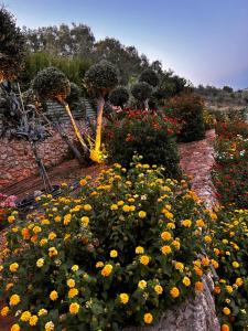Zahrada ubytování Physis Villas Chania